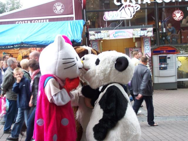Hello Panda 