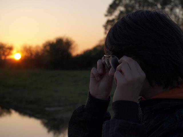 Dawid 