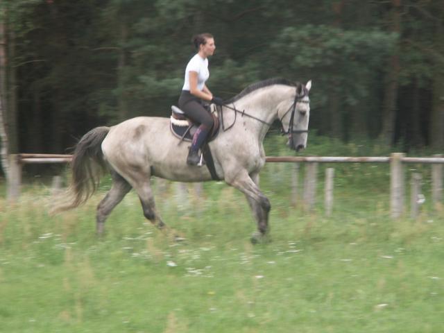 Wpis wadziko