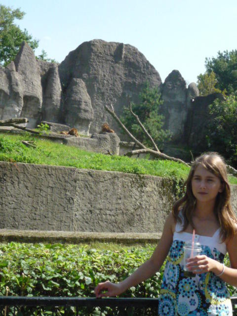 W ZOO.!