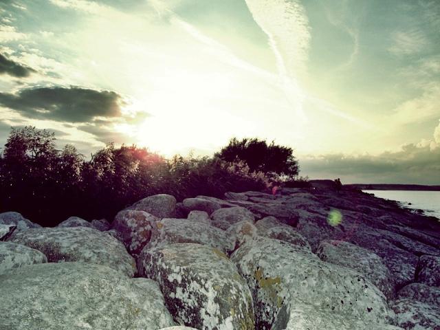 Sunbeam 