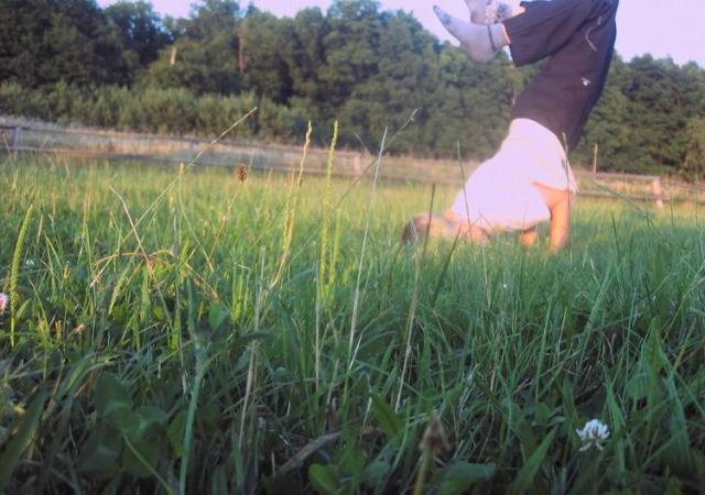 Wpis polejjj