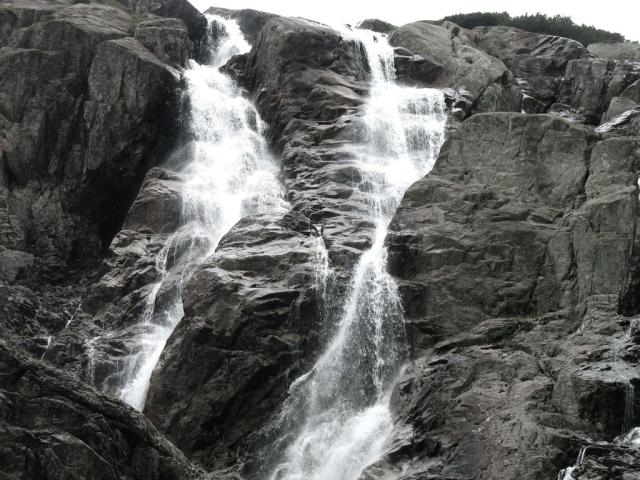 Wpis koloroweslowa