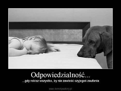 Wpis xxweeronikaaxx