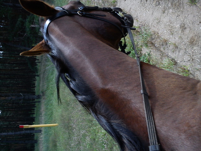 Deeemi!