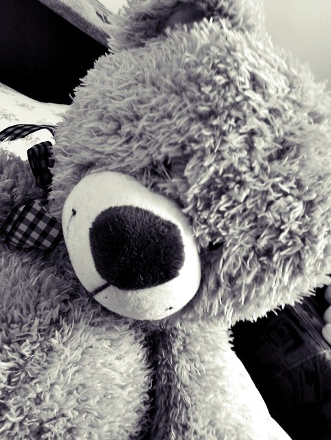 Misieekkk .. 