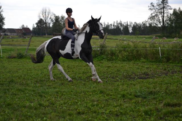 oklep ^^