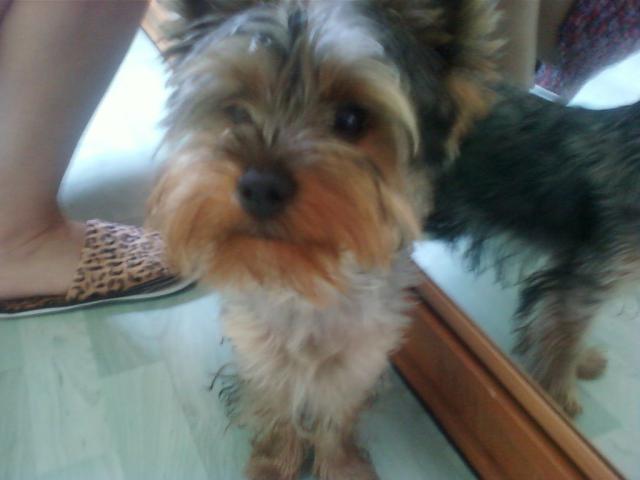 Rexio :D 