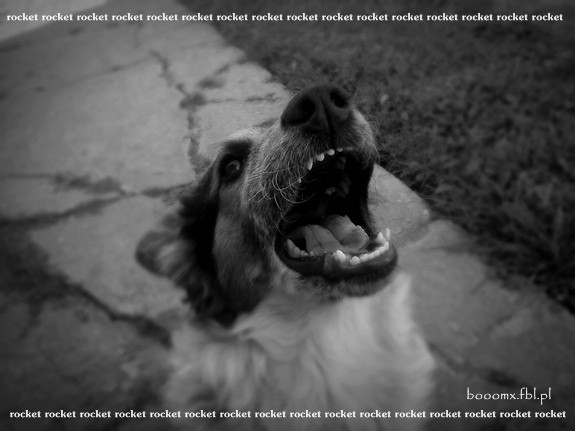 PSYCHO ROCK :D