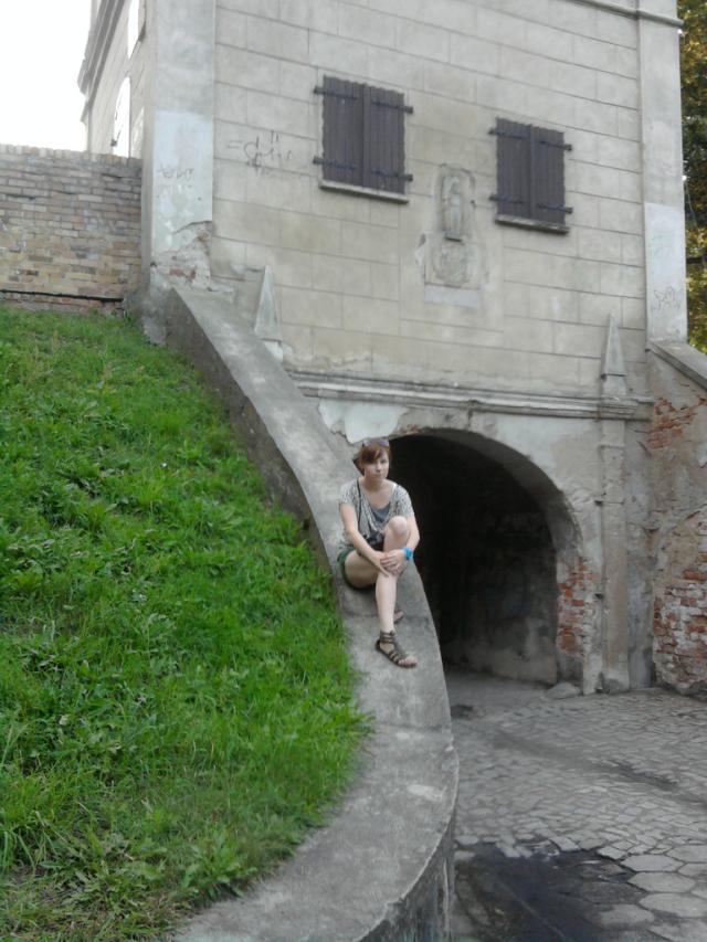 Wpis annee94