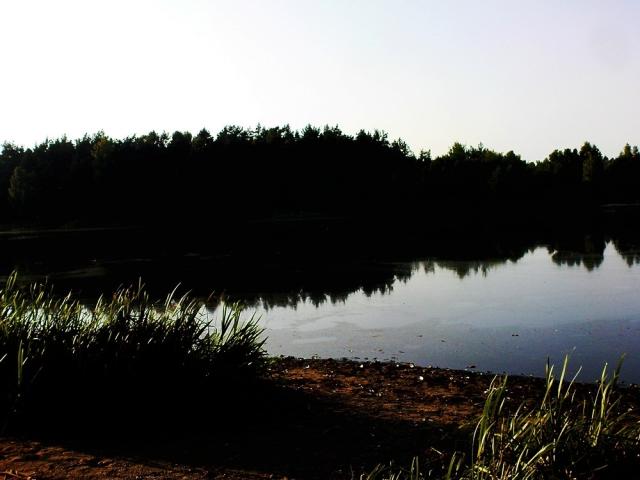 Wpis hyssteria