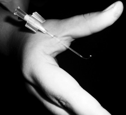 Hand Web