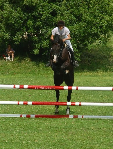 Wpis entisrenti
