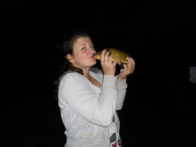 ale sodki caus;))