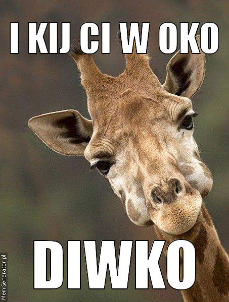 Lubi zebry :D