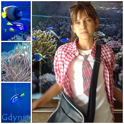 Akwarium w Gdyni ;)