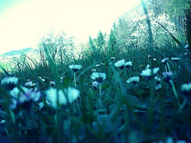 takie jeszcze wakacyjne ;)