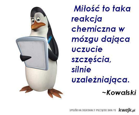 27. Wamik xD 