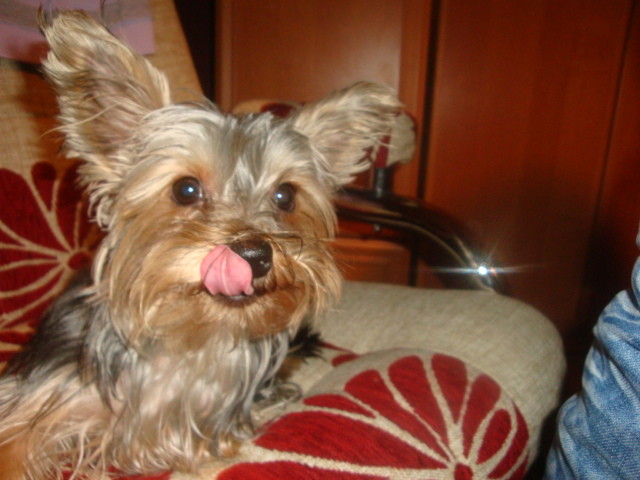 Diego:):D