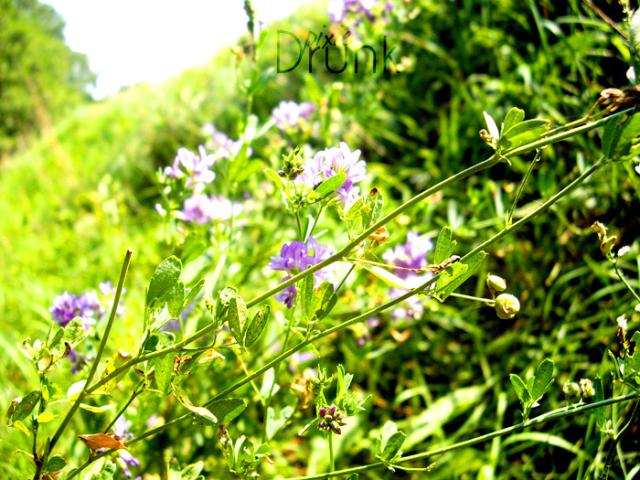 I feel summer...