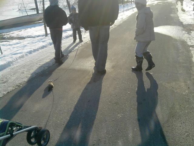 Pierwszy spacerek.