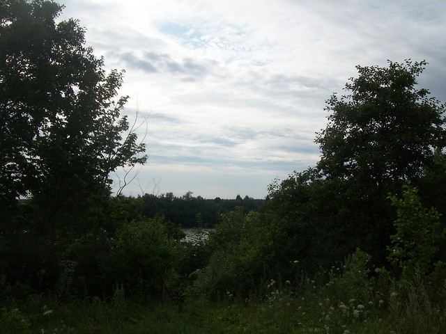 Wpis cukereczek15