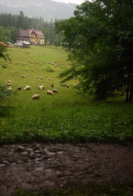 Baaaaranki :D haha ! 