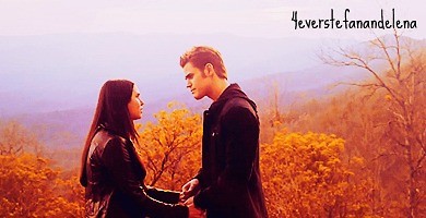 Wpis 4everstefanandelena
