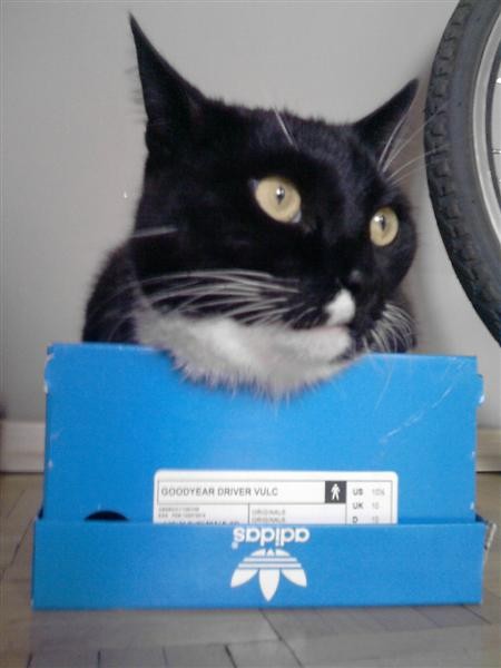 Sparki ♥