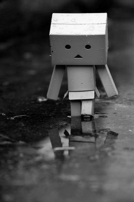 danbo