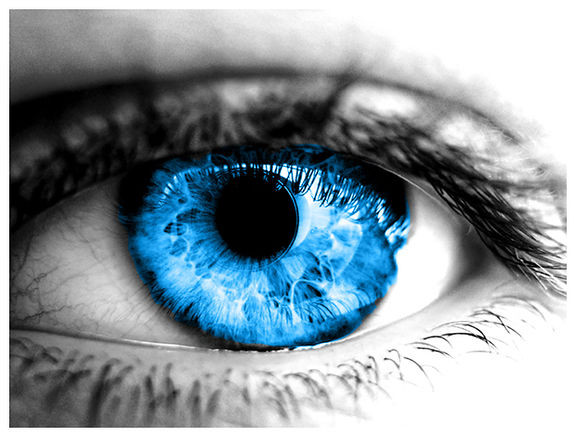 Eyes