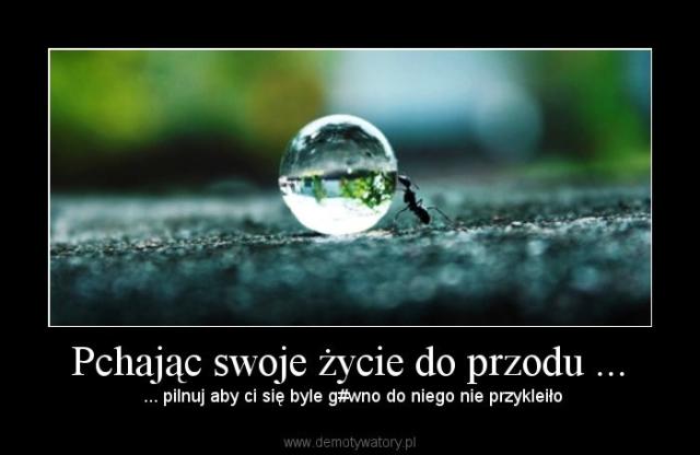 Wpis slodziak89