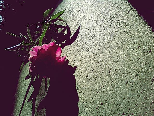 ' It's time to say... goodbye '