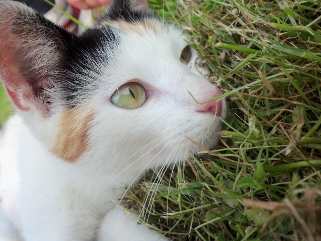 Kotteek < 3 .! 