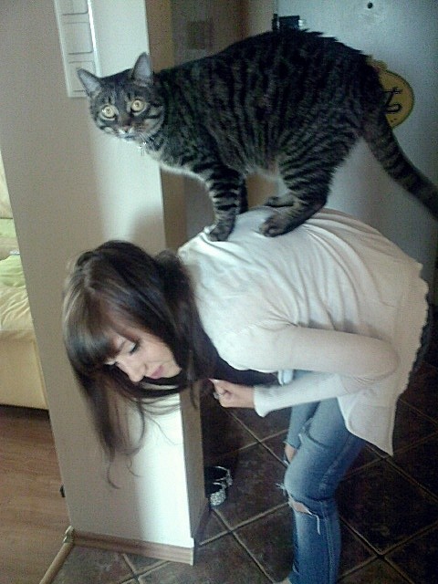 Wpis karooolaa
