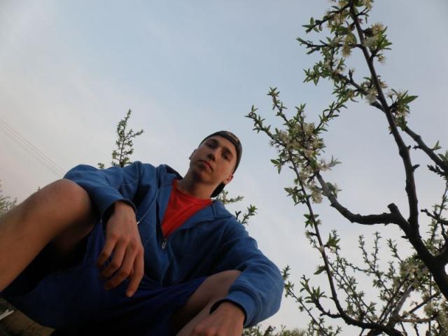 Wpis nalaz94