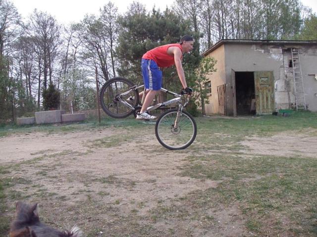 Wpis nalaz94