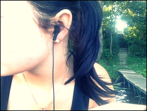 Wpis mietowymaj