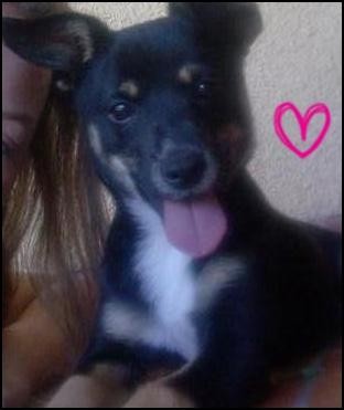 Niki:*)