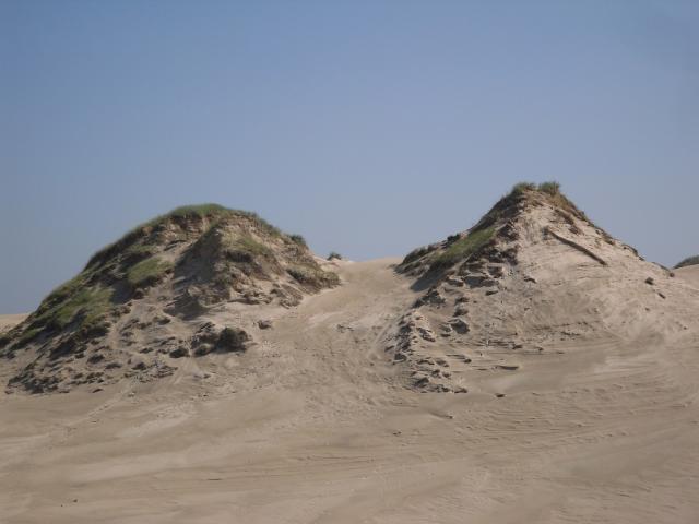 wydma