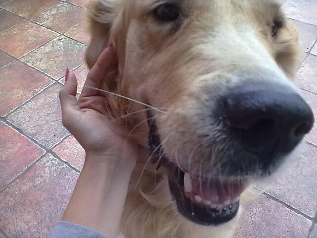 Wpis ajdaxd