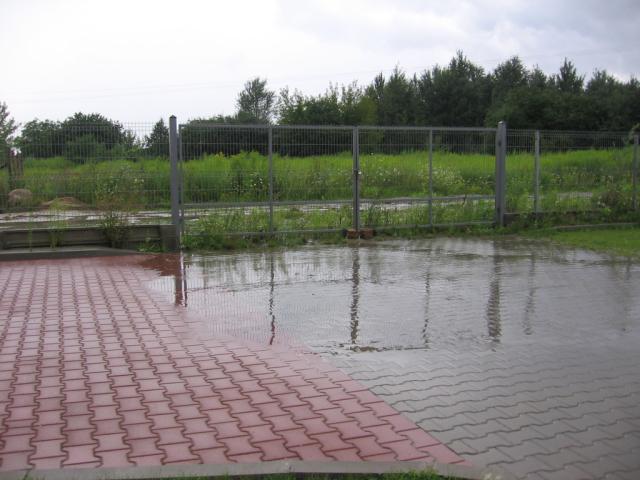 basenik