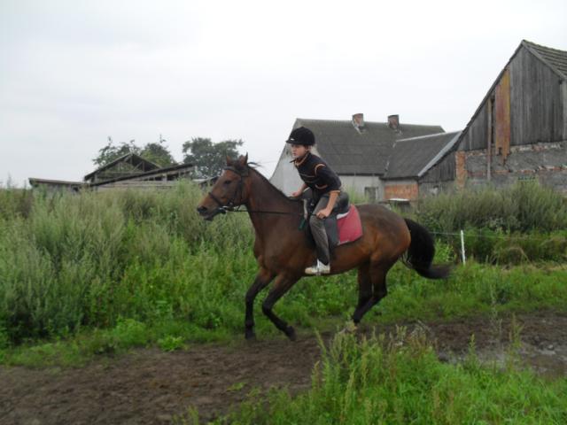 Kora