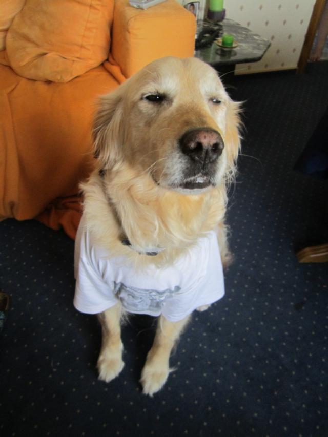 Kosku ;D 