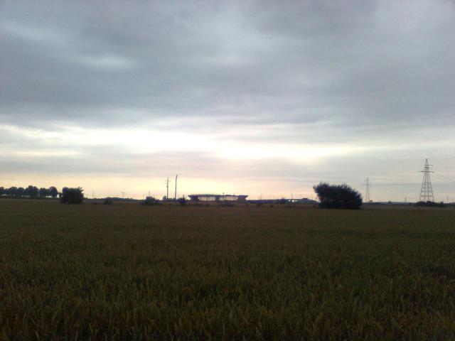 W drog..