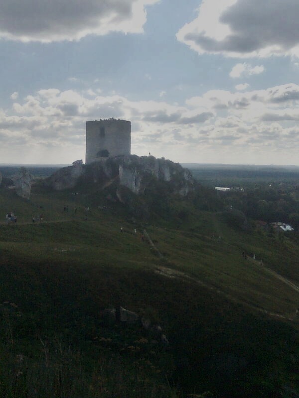 olsztyski zamek .