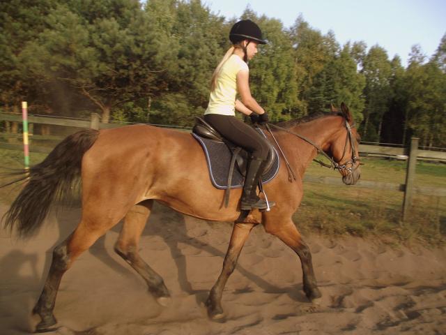 Wpis misia2714