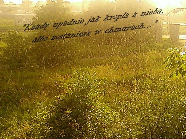 Spokojne marzenia