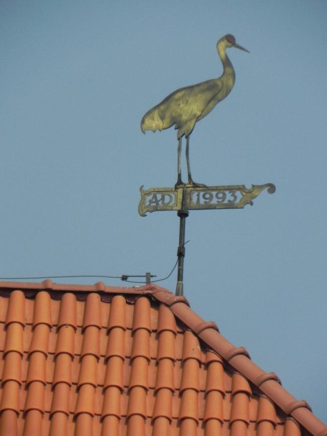 bird.