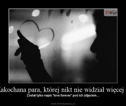 OO6 .  Rnoci .